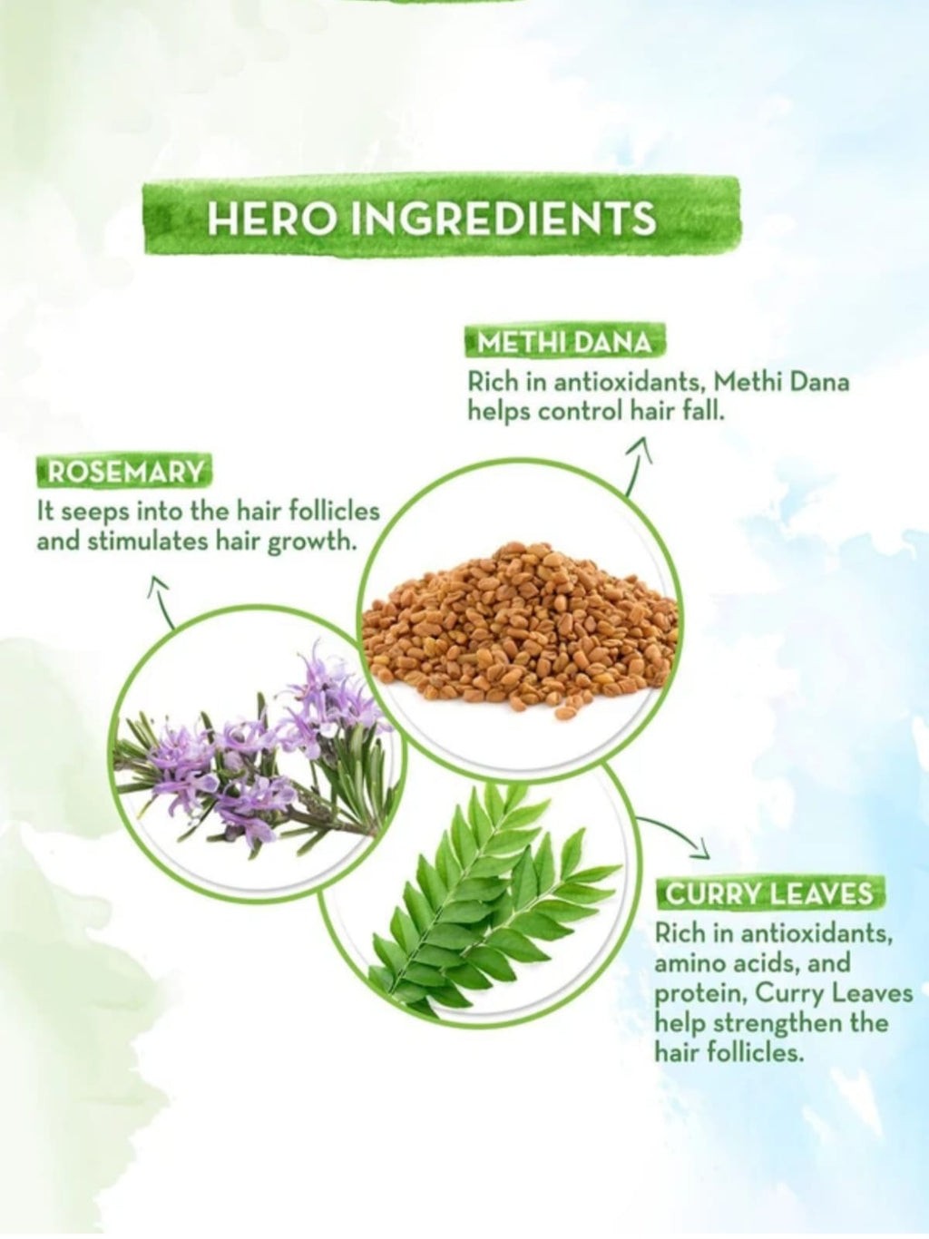 Rosemary Hair Growth Oil with Rosemary & Methi Dana for Promoting Hair Growth - 200 ml