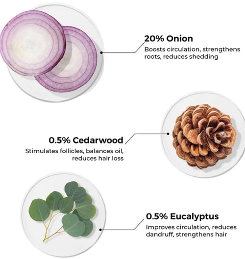 Onion Hair Oil with Onion Oil & Redensyl for Hair Fall Control - 250 ml